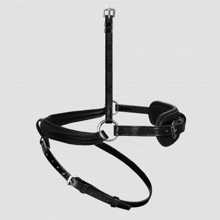 Exchangeable Anatomically-Formed Flash Noseband with Rings and Removable Flash Strap Loop