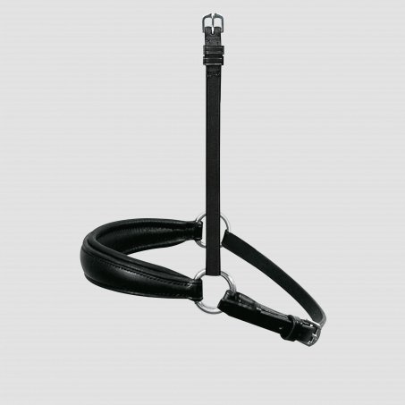 Exchangeable Dropped Noseband